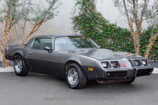 1981 Pontiac Firebird-Formula For Sale | Ad Id 2146379543