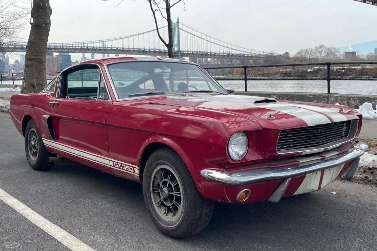 1966 Ford Shelby Mustang For Sale | Vintage Driving Machines