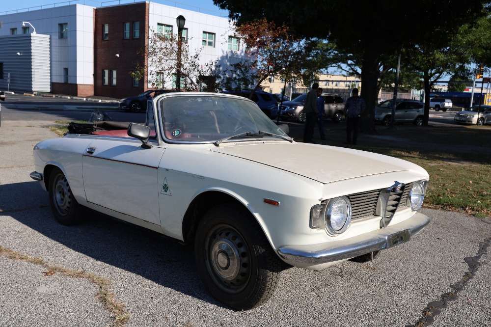 1965 Alfa Romeo Giulia For Sale | Vintage Driving Machines