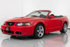 2003 Ford Mustang Cobra For Sale | Ad Id 2146359771