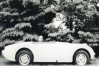 1959 Austin-Healey Sprite For Sale | Ad Id 2146362529