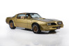 1978 Pontiac Firebird For Sale | Ad Id 2146371585